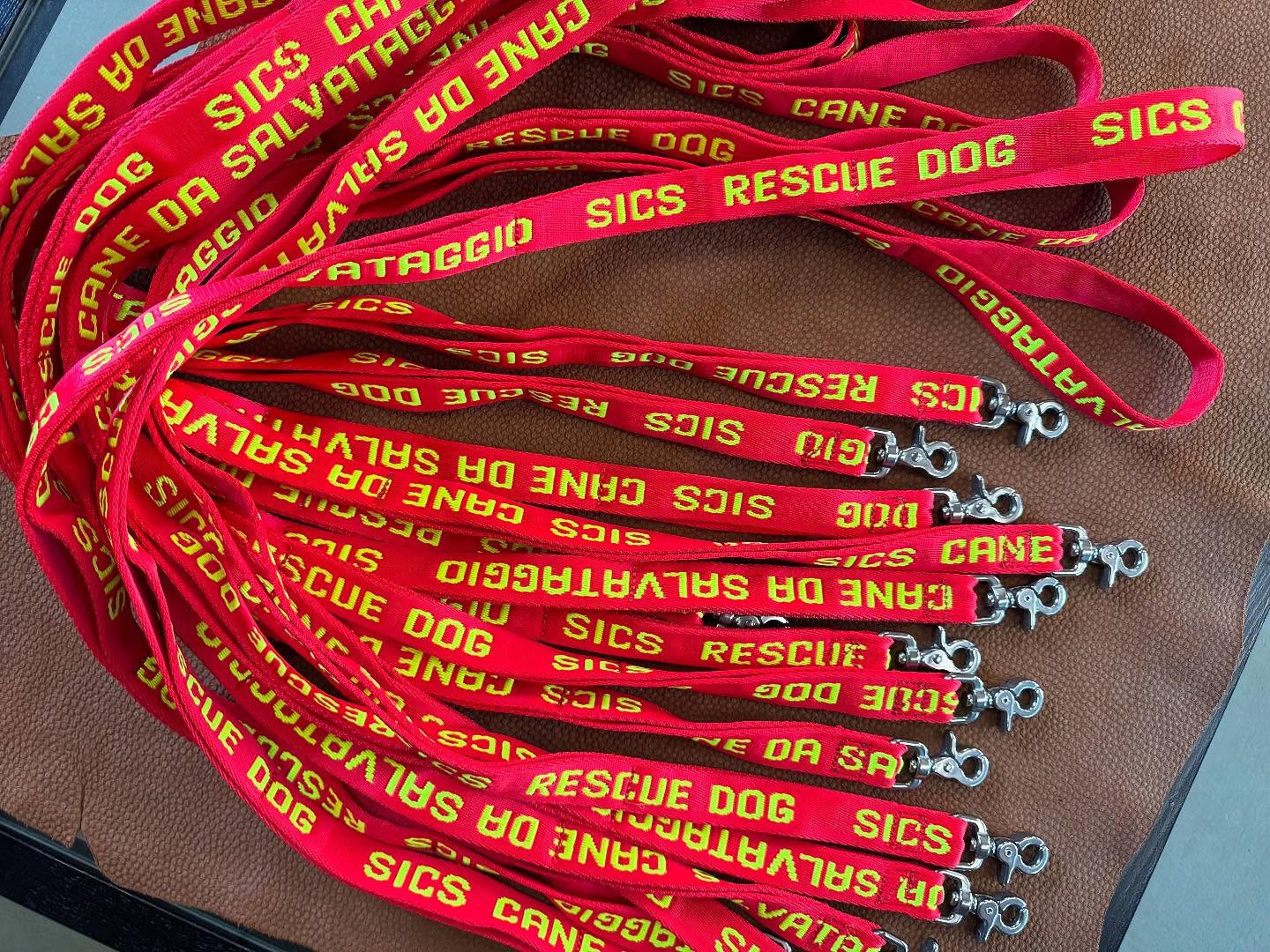 Guinzagli SICS Rescue Dog